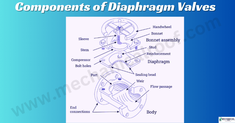 Components of Diaphragm Valves