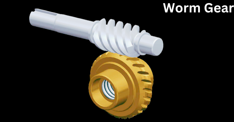 Worm Gear